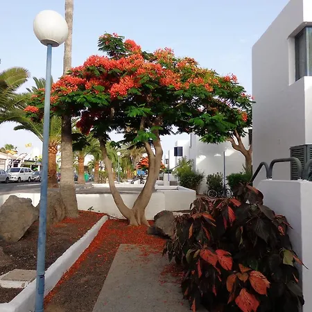 Konukevi Residencial Centro Playa *