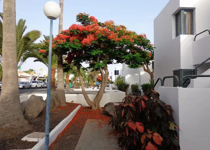 Guest house Habitaciones Residencial Corralejo Centro Playa *